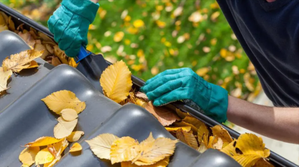 The Importance Of Professional Gutter Cleaning Services